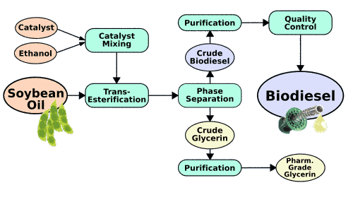 Biodiesel process